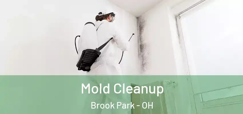 Mold Cleanup Brook Park - OH