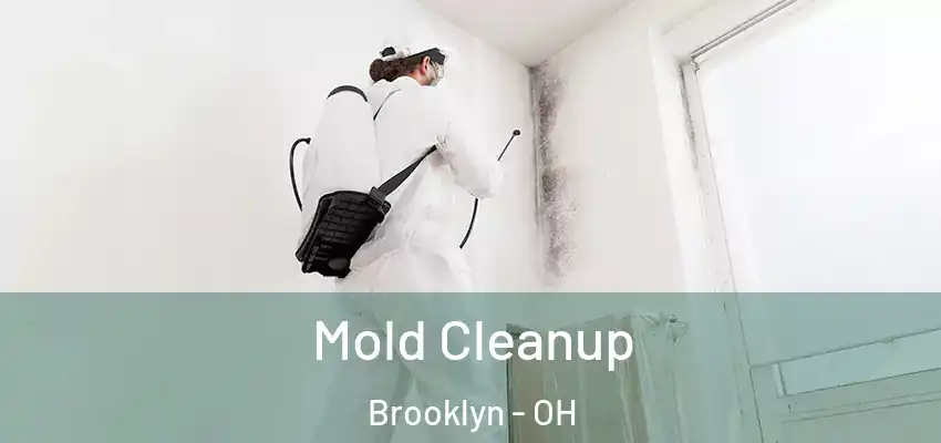  Mold Cleanup Brooklyn - OH