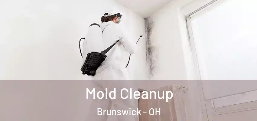 Mold Cleanup Brunswick - OH