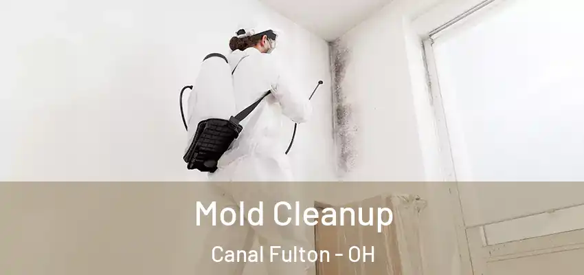  Mold Cleanup Canal Fulton - OH