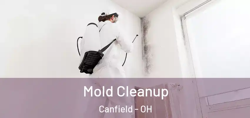  Mold Cleanup Canfield - OH