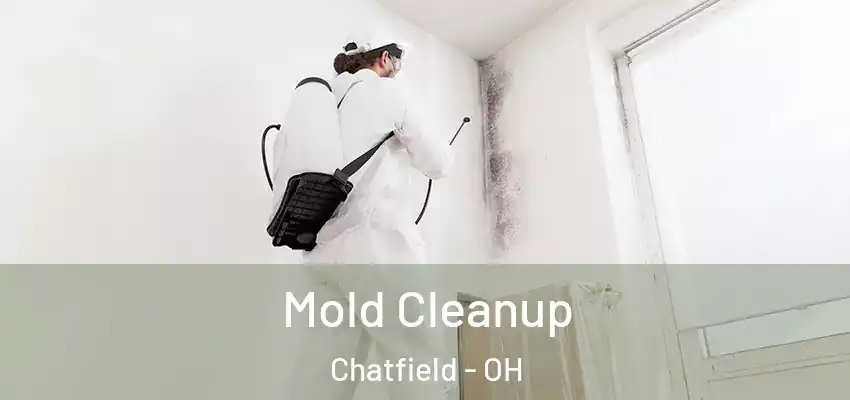  Mold Cleanup Chatfield - OH