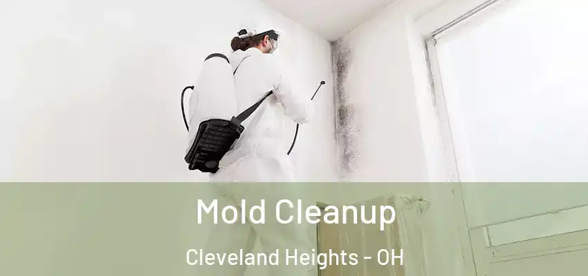  Mold Cleanup Cleveland Heights - OH
