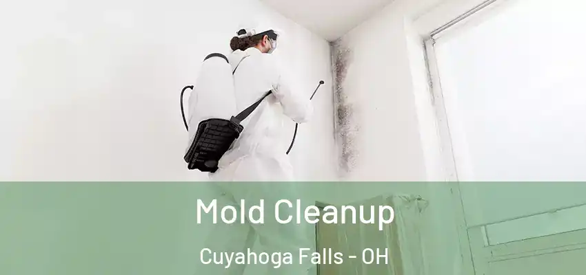 Mold Cleanup Cuyahoga Falls - OH
