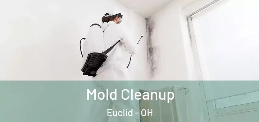  Mold Cleanup Euclid - OH