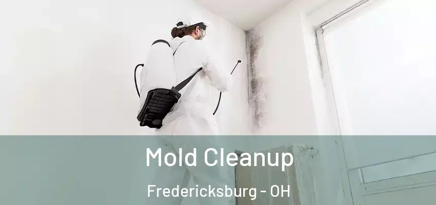  Mold Cleanup Fredericksburg - OH