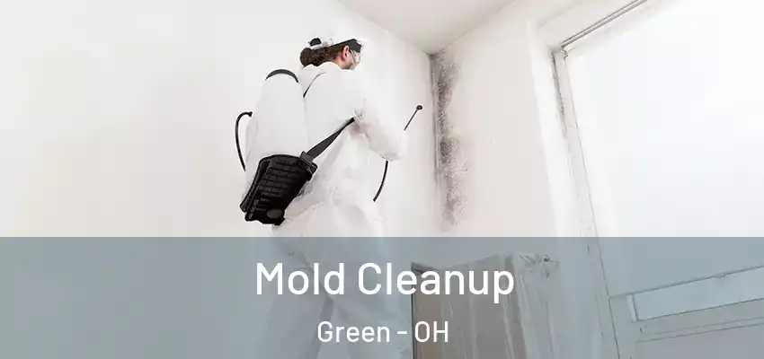  Mold Cleanup Green - OH