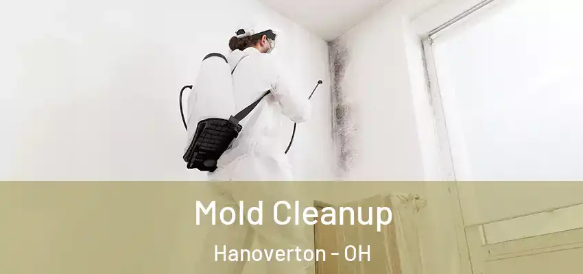 Mold Cleanup Hanoverton - OH