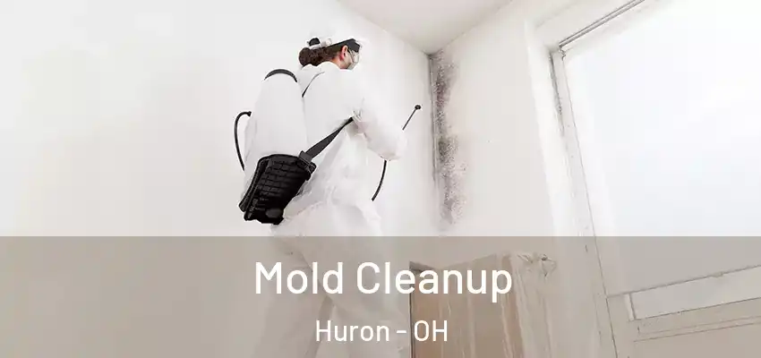  Mold Cleanup Huron - OH