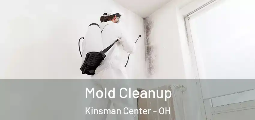 Mold Cleanup Kinsman Center - OH
