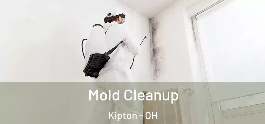  Mold Cleanup Kipton - OH