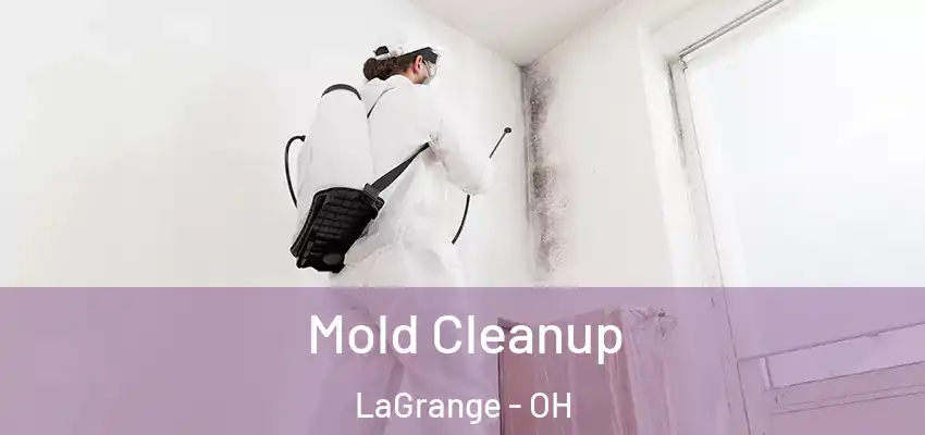  Mold Cleanup LaGrange - OH