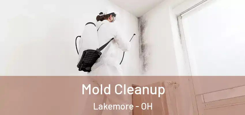 Mold Cleanup Lakemore - OH