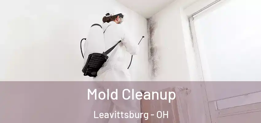 Mold Cleanup Leavittsburg - OH