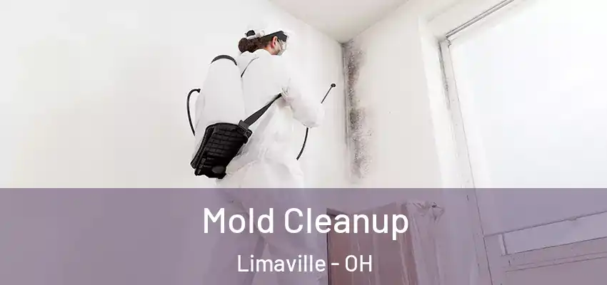  Mold Cleanup Limaville - OH