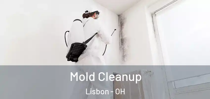  Mold Cleanup Lisbon - OH