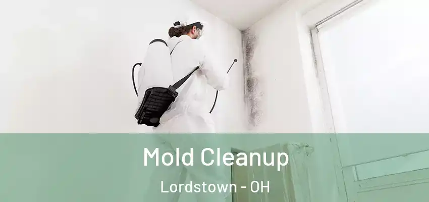 Mold Cleanup Lordstown - OH