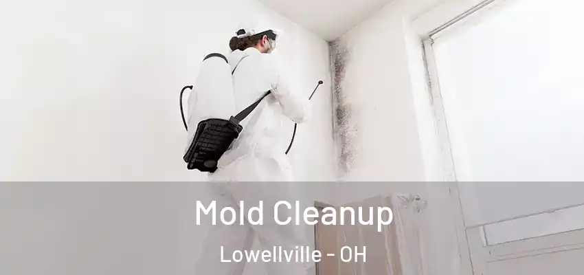 Mold Cleanup Lowellville - OH