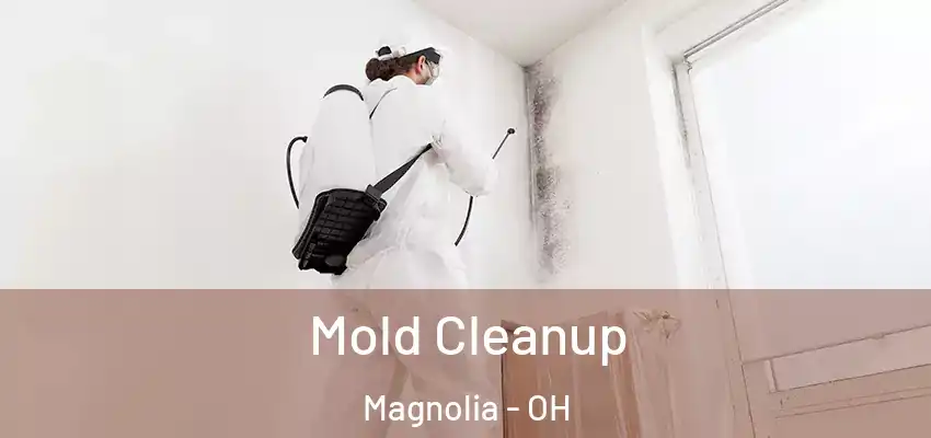 Mold Cleanup Magnolia - OH