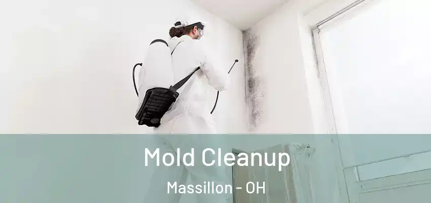  Mold Cleanup Massillon - OH