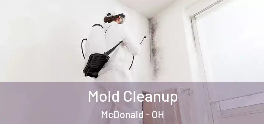  Mold Cleanup McDonald - OH