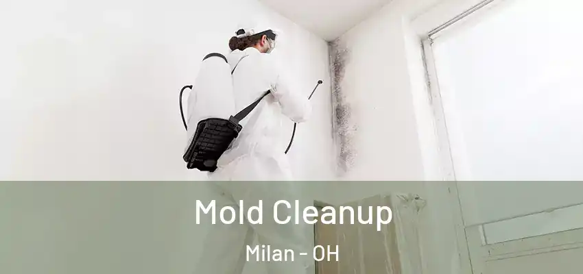  Mold Cleanup Milan - OH
