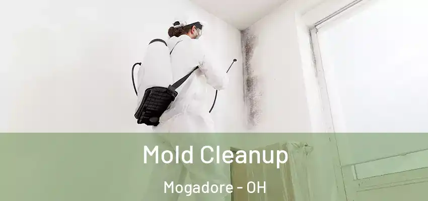 Mold Cleanup Mogadore - OH
