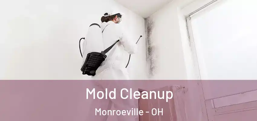  Mold Cleanup Monroeville - OH