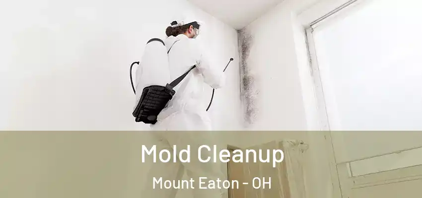  Mold Cleanup Mount Eaton - OH