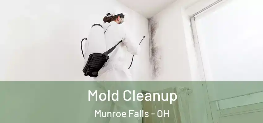  Mold Cleanup Munroe Falls - OH