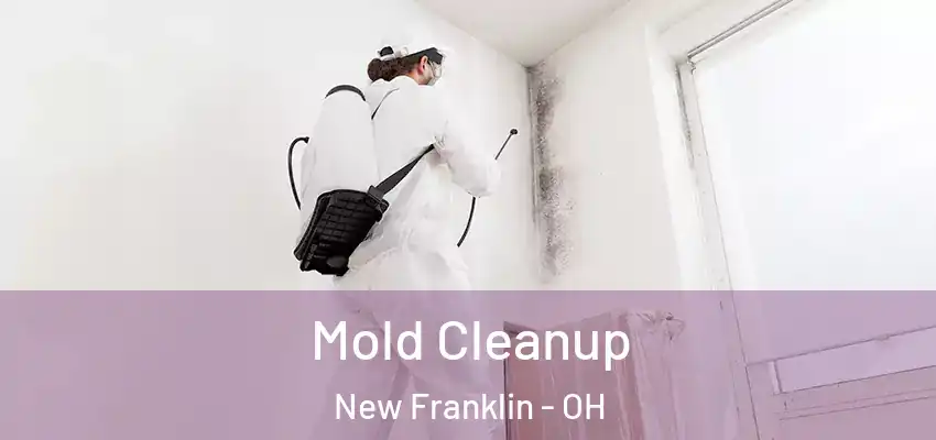 Mold Cleanup New Franklin - OH