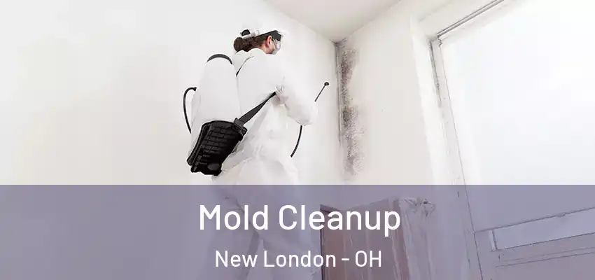 Mold Cleanup New London - OH