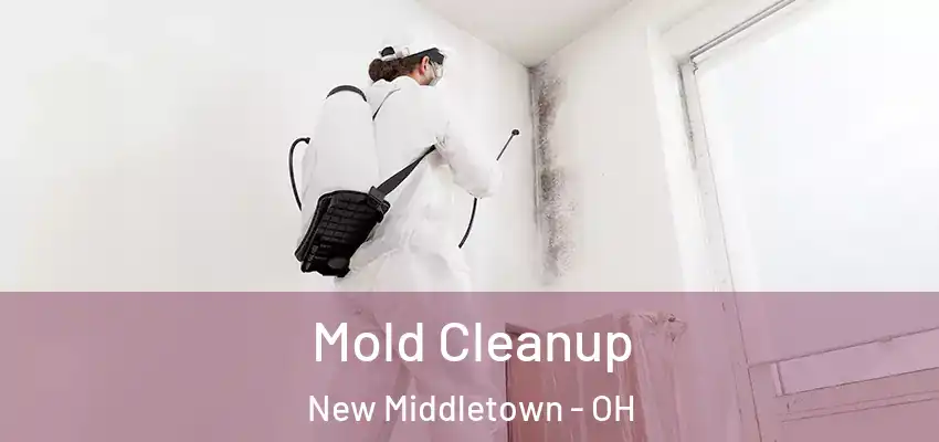 Mold Cleanup New Middletown - OH