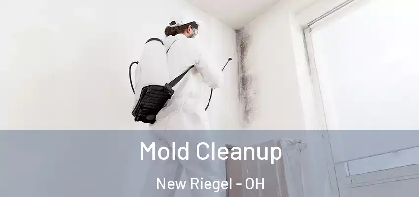 Mold Cleanup New Riegel - OH
