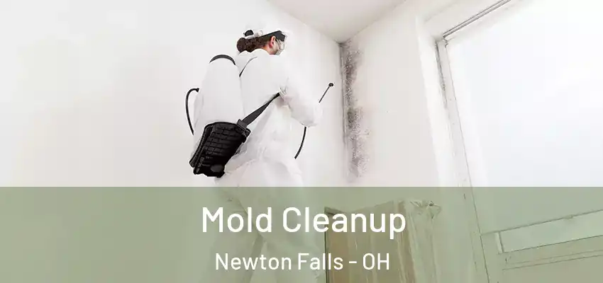 Mold Cleanup Newton Falls - OH