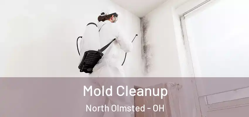 Mold Cleanup North Olmsted - OH