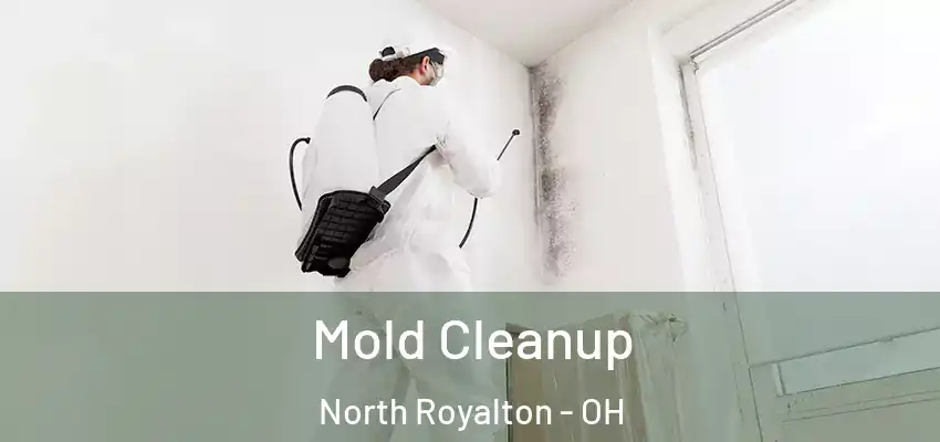 Mold Cleanup North Royalton - OH