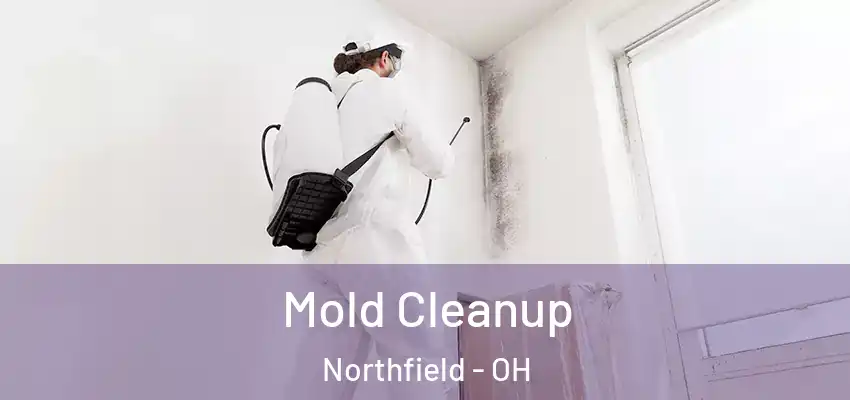  Mold Cleanup Northfield - OH