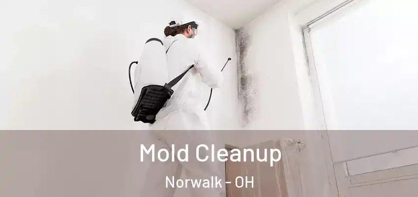 Mold Cleanup Norwalk - OH