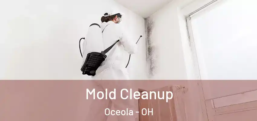 Mold Cleanup Oceola - OH