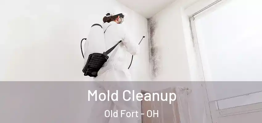 Mold Cleanup Old Fort - OH