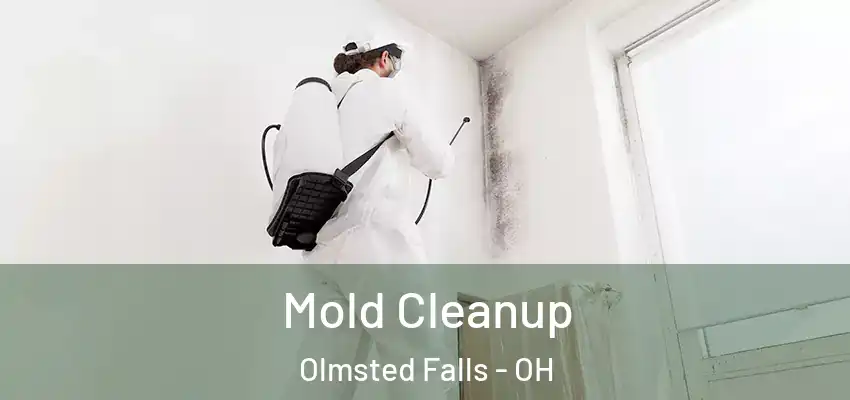 Mold Cleanup Olmsted Falls - OH