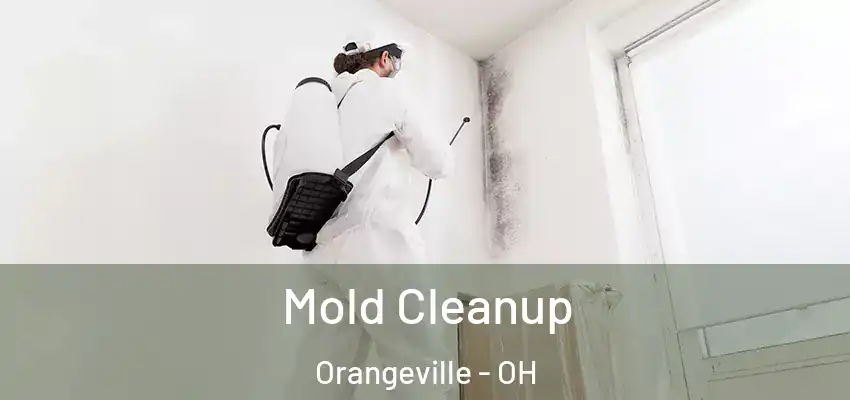 Mold Cleanup Orangeville - OH