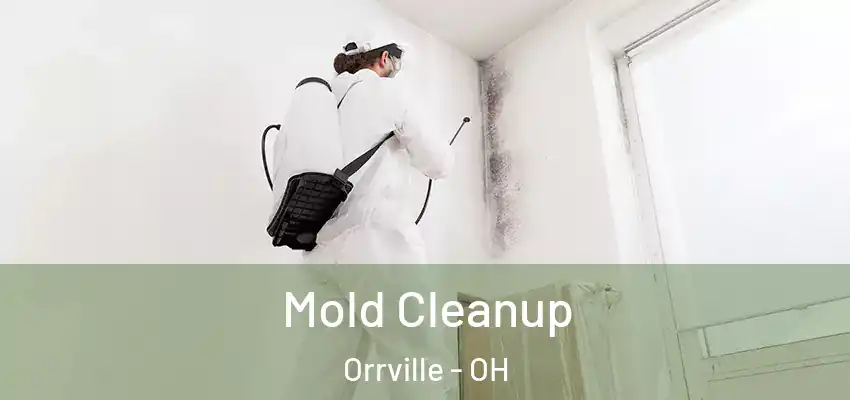  Mold Cleanup Orrville - OH