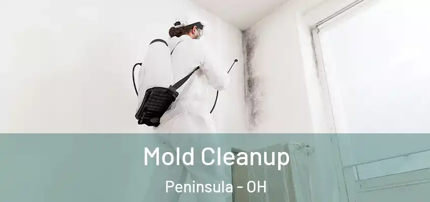  Mold Cleanup Peninsula - OH