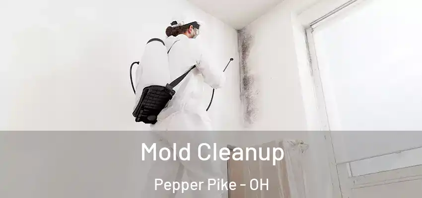  Mold Cleanup Pepper Pike - OH