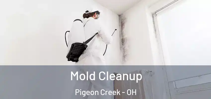 Mold Cleanup Pigeon Creek - OH