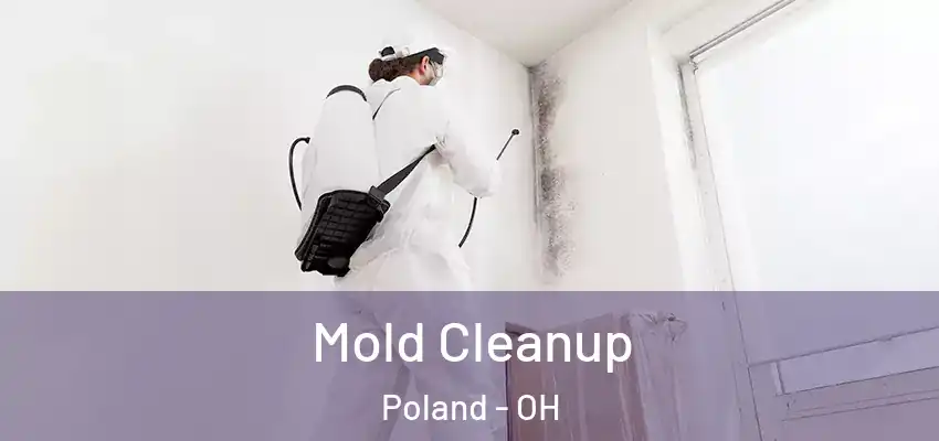  Mold Cleanup Poland - OH