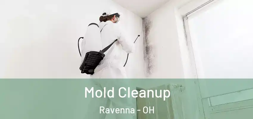 Mold Cleanup Ravenna - OH