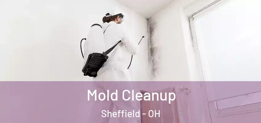  Mold Cleanup Sheffield - OH